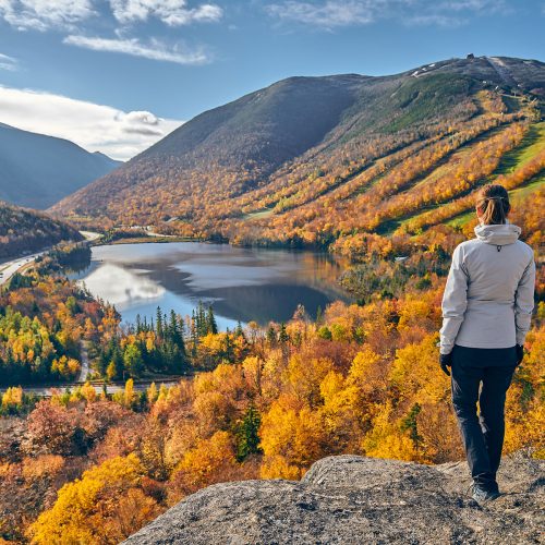 Photo by HaveSeen iStock